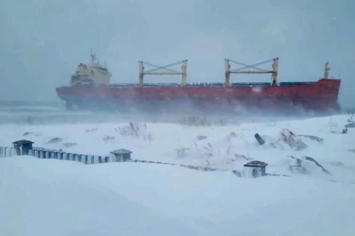    Глава Сахалина опасается, что владельцы севшего на мель судна бросят его