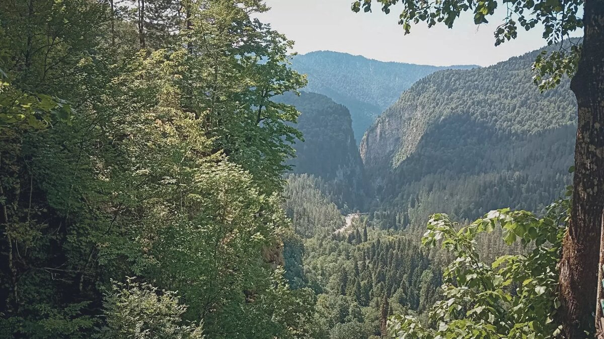     Источник: 1MI