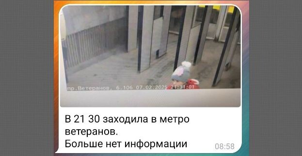 Попала в объектив видеокамер