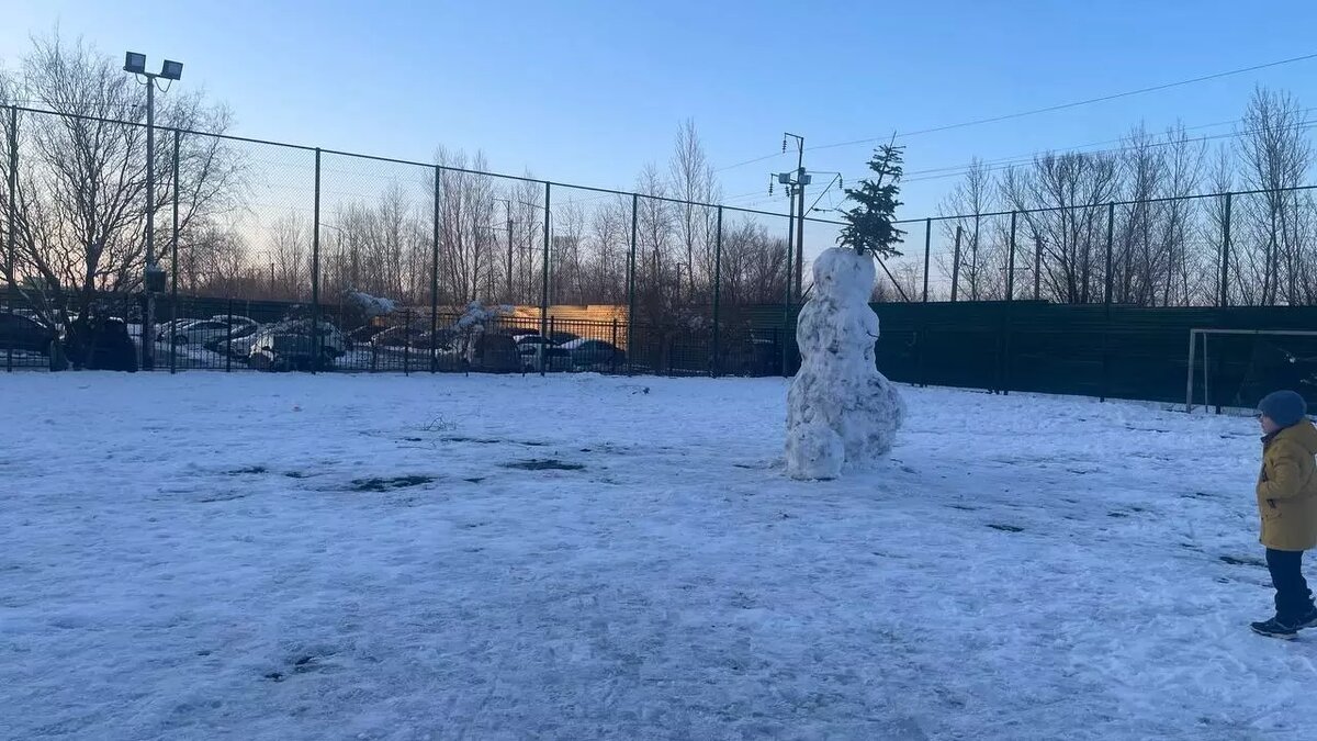     Источник: 1MI