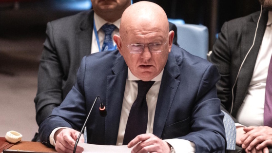    Небензя заявил, что Россия открыта к контактам с США по Украине Виктория Шварц