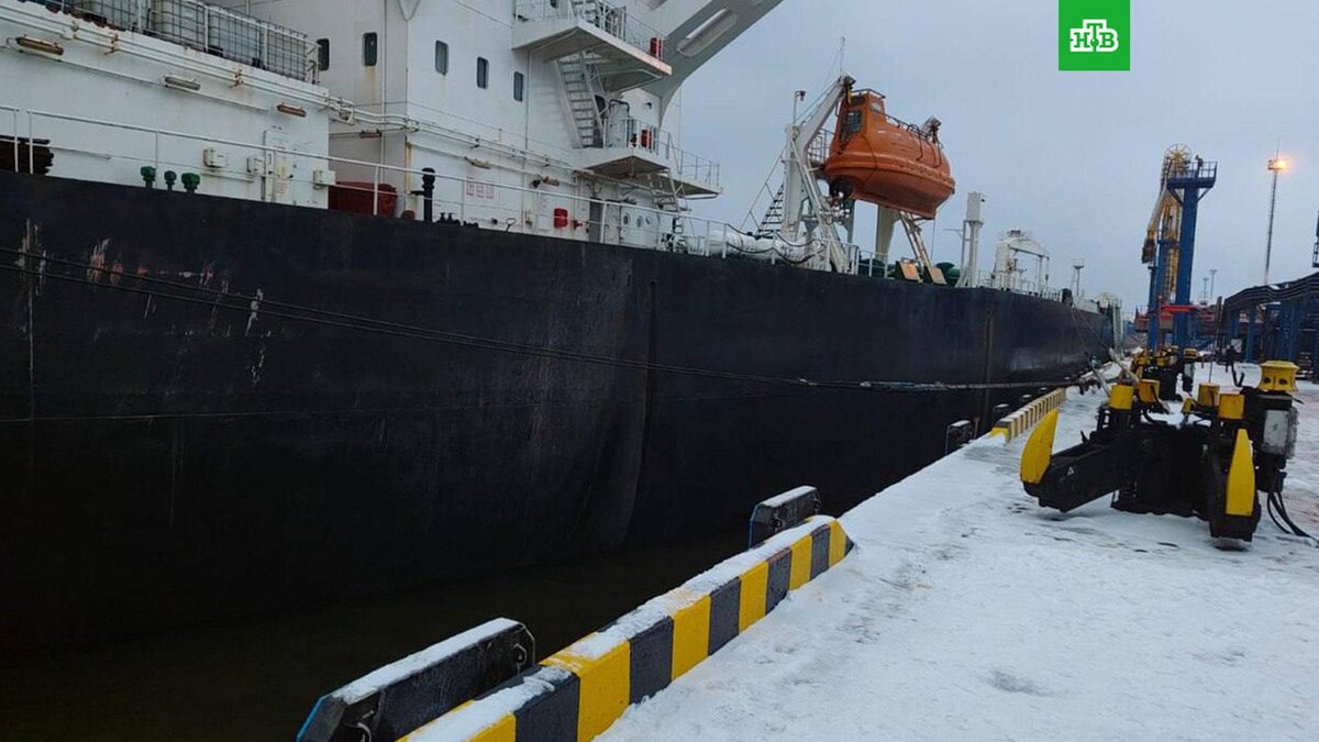    Фото: drozdenko_au_lo / t.me