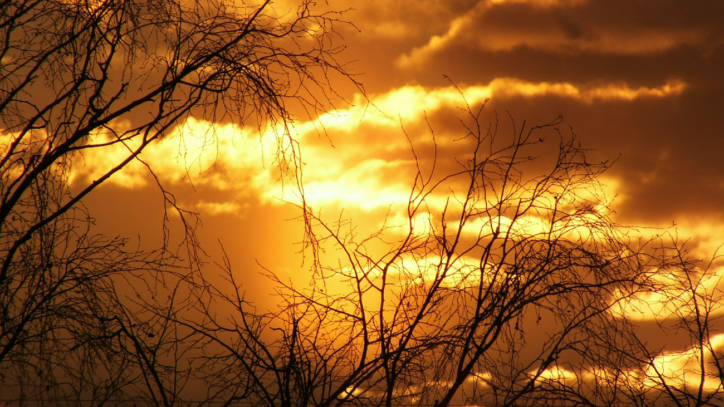    ФОТО: Victor Lisitsyn/Globallookpress