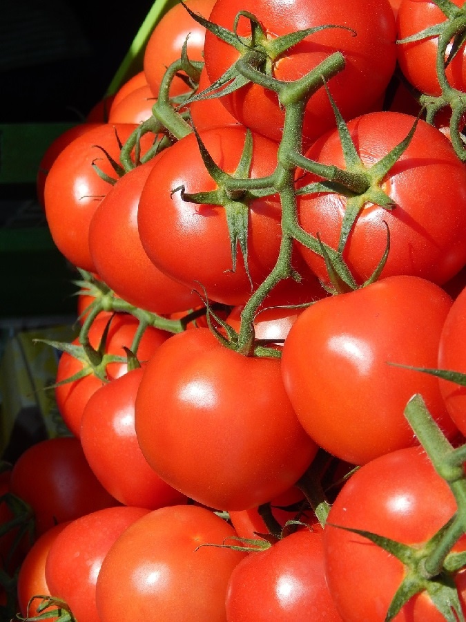 Черри очень хорошо реагируют на такую подкормку