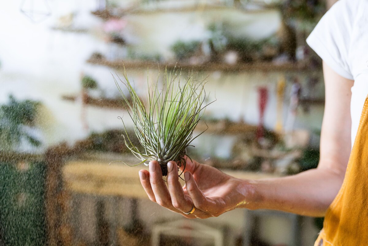    ТилландсияLegion-Media