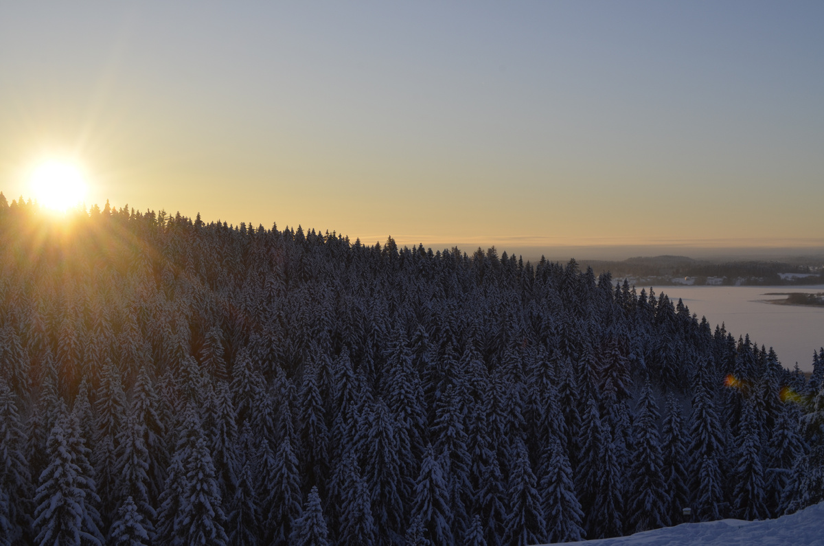 Гора Паасонвуори