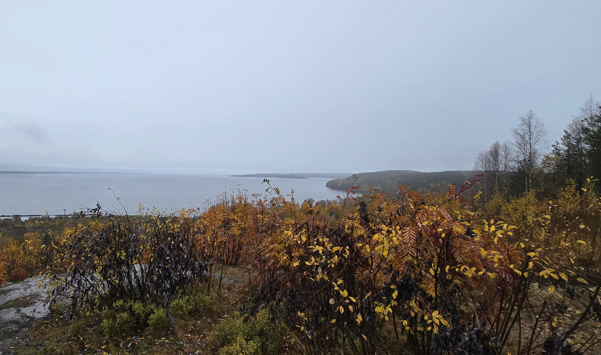 Медвежьгорск гора Лысуха