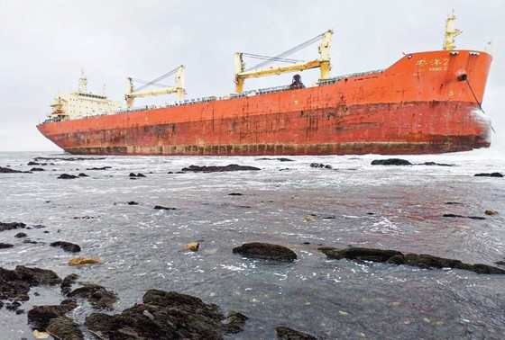    МЧС РФ/РИА Новости