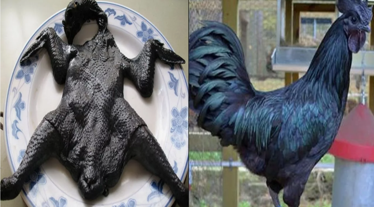 если рассечете голову тушки - то получите "двуглавого" распластанного