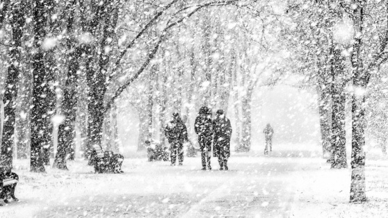    Синоптик пообещал москвичам снежные сюрпризы в конце февраля Ирина Петрова