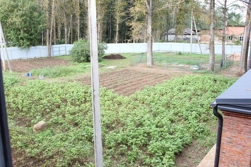 фото из архива 2023- 2024 г.