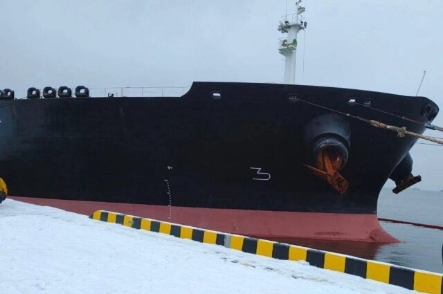    Фото: Telegram-канал губернатора Ленобласти Александра Дрозденко