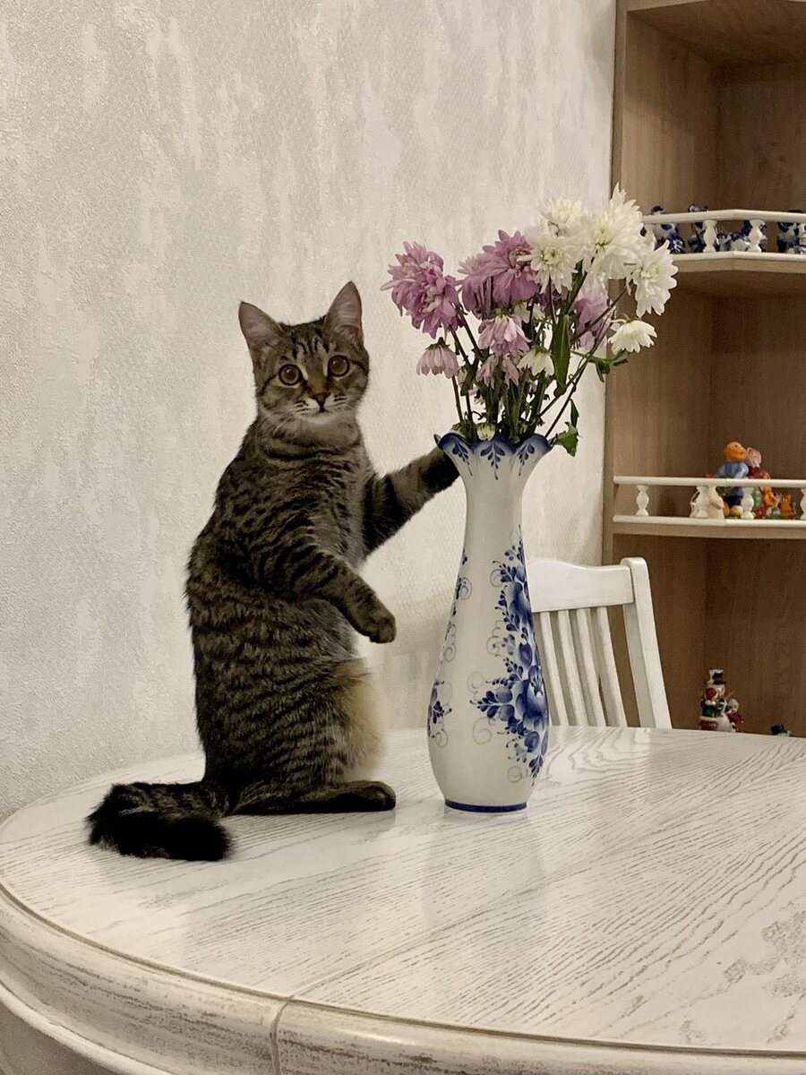 Просто понюхаю цветочки и всё