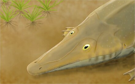 Тузух, реставрация.