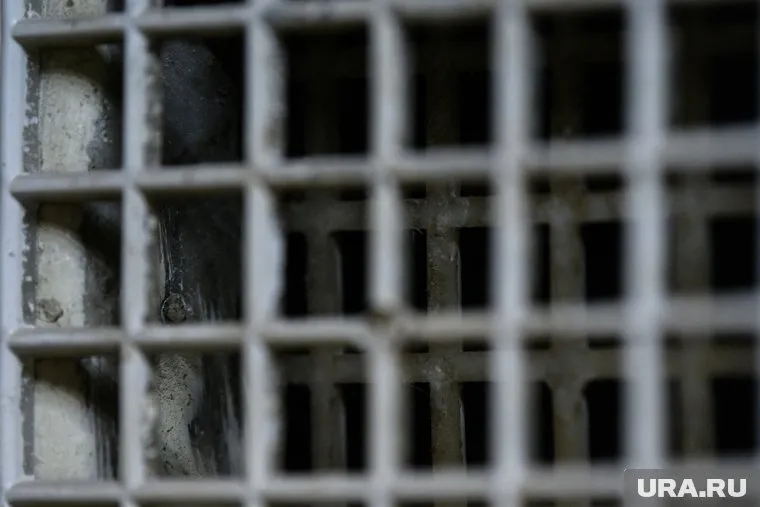 Фигурант уголовного дела заключен под стражу на 2 месяца
Фото: Илья Московец © URA.RU