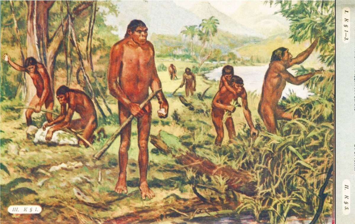 Картинка из советского учебника (автор Коровкин) - первобытные обезьянолюди