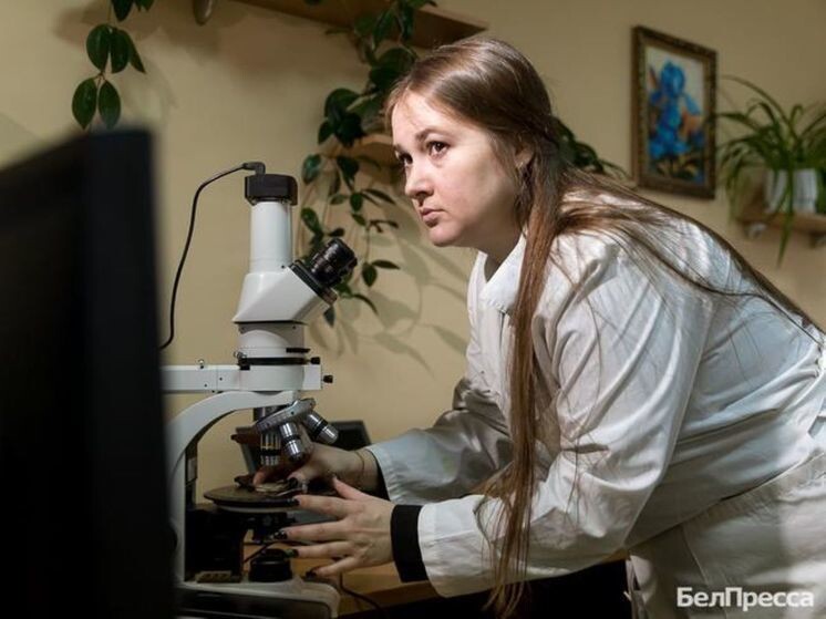    «Искать и не сдаваться»: как белгородский учёный Диана Бондаренко пришла в большую науку, Фото: Павел Колядин/БелПресса