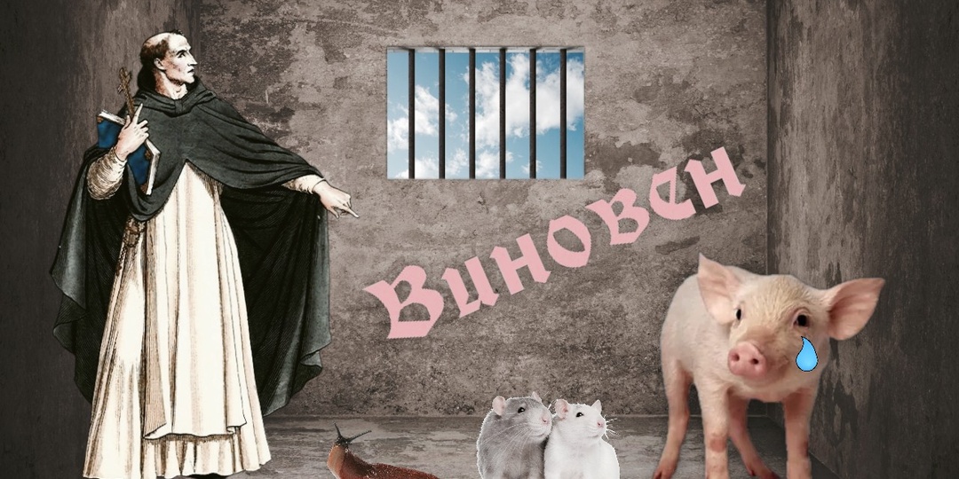 И слизням закон писан. За что судили животных в Средние века