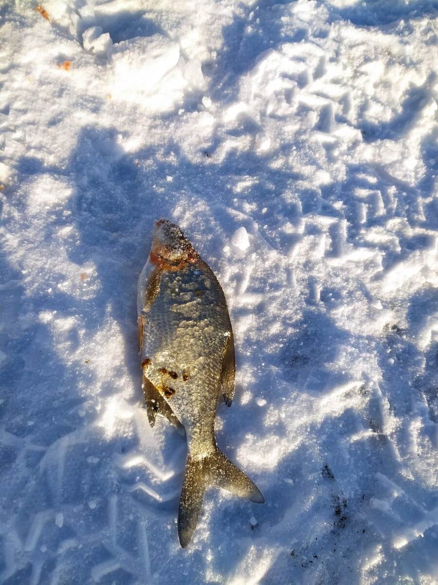 Первый пошёл.