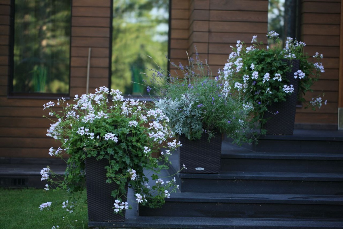    Бывает достаточно всего одного цветка,чтобы кашпо выглядело гармонично