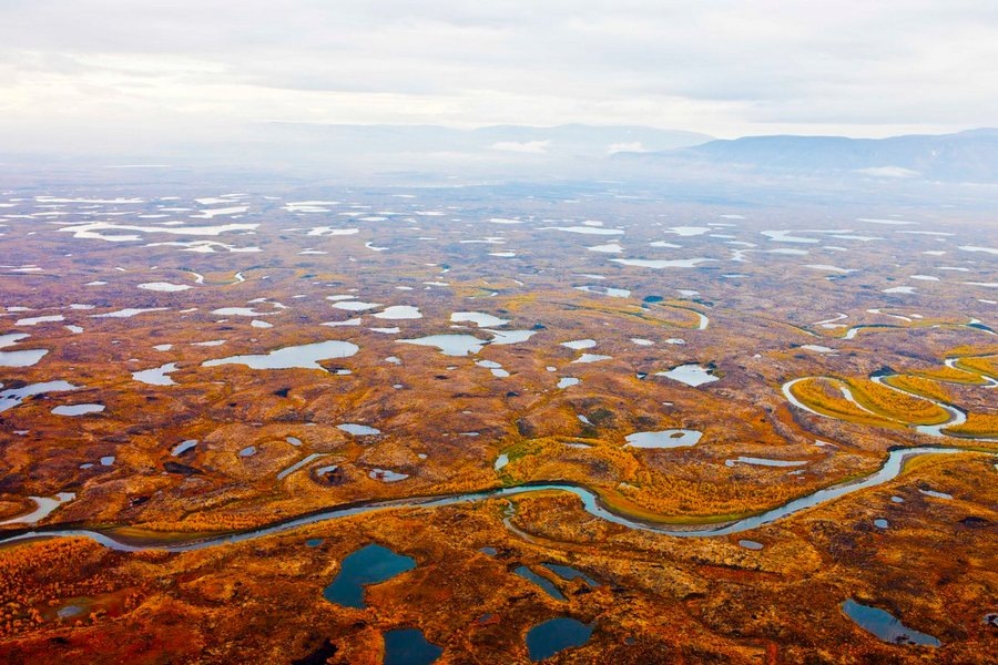 Таймырский полуостров