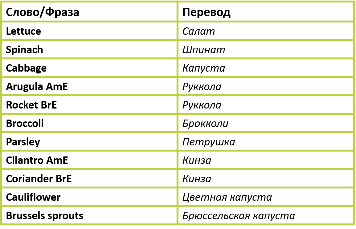 Изображение: Family English