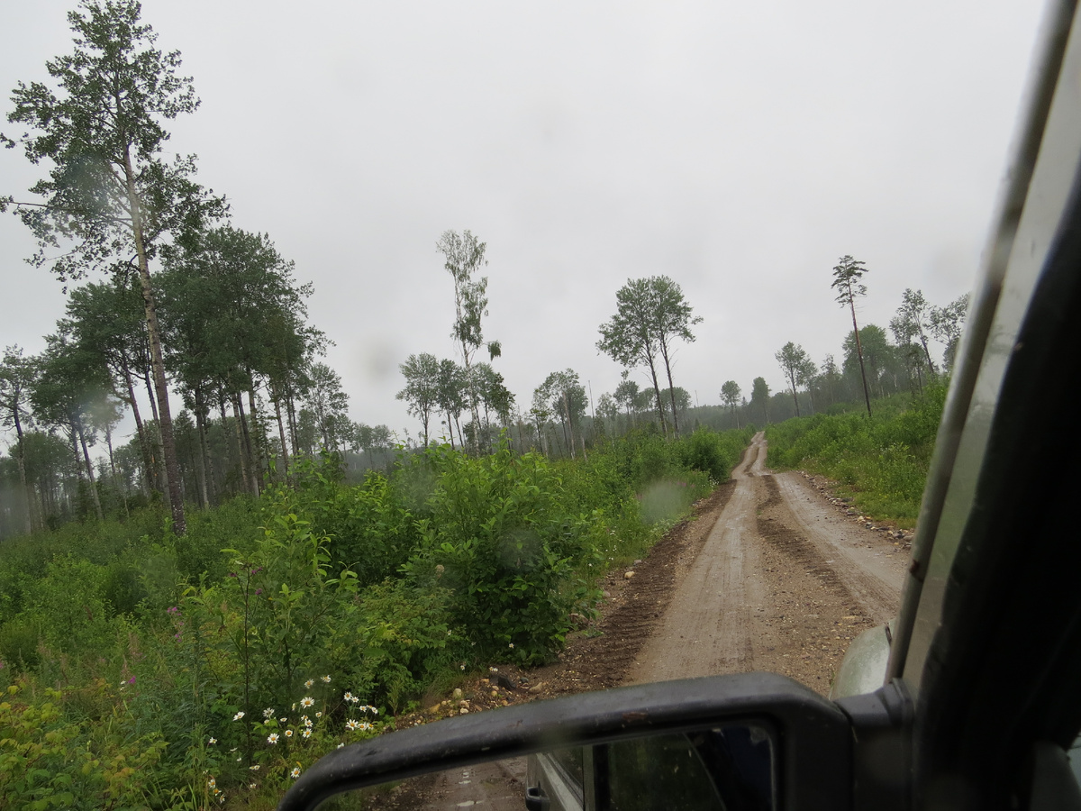 Фотография 2023-го года. Ехать несколько десятков километров по такой дороге как-то не захотелось.
