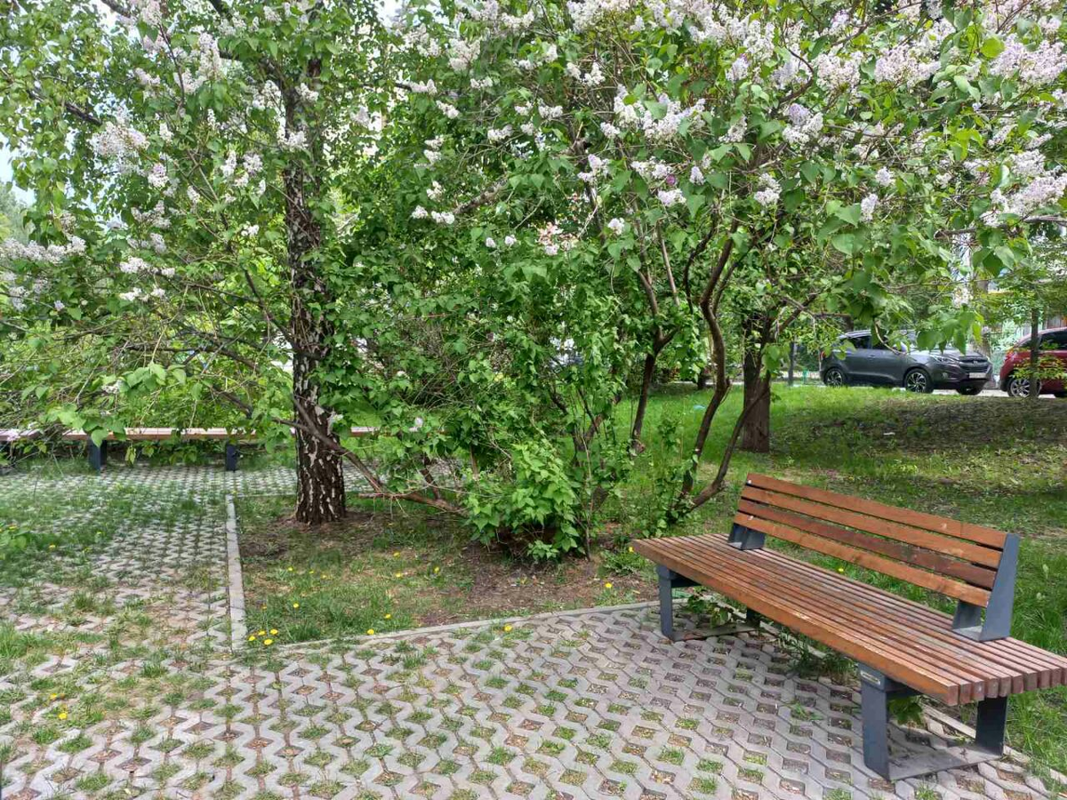 Фото автора.