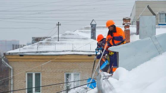    Снежный покров в Московском регионе может достигнуть 5–10 см к 23 февраля Андрей Бурков