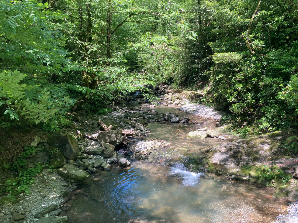 Река Безуменка.