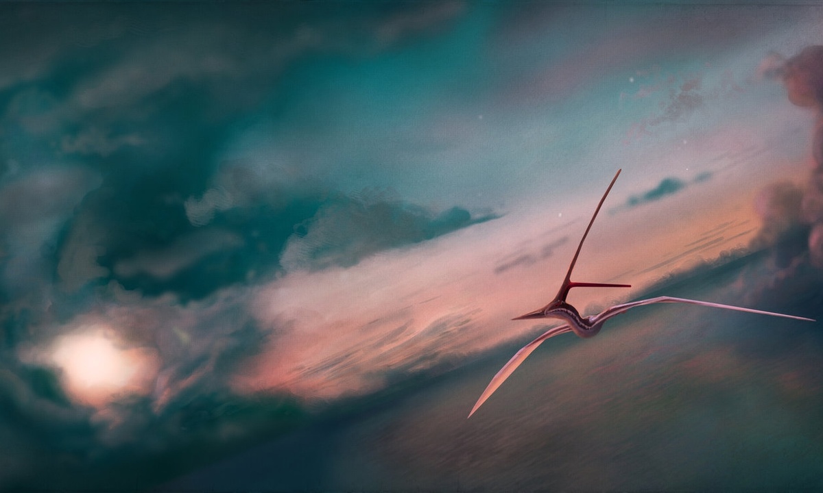 Работа Марка Уиттона