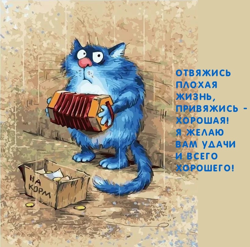 Яндекс картинки