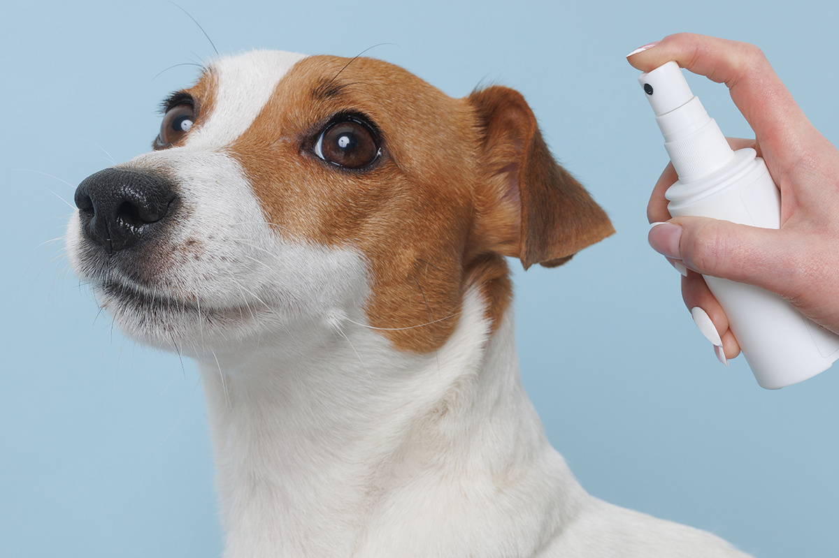 Такие средства являются натуральными и не содержат седативных компонентов