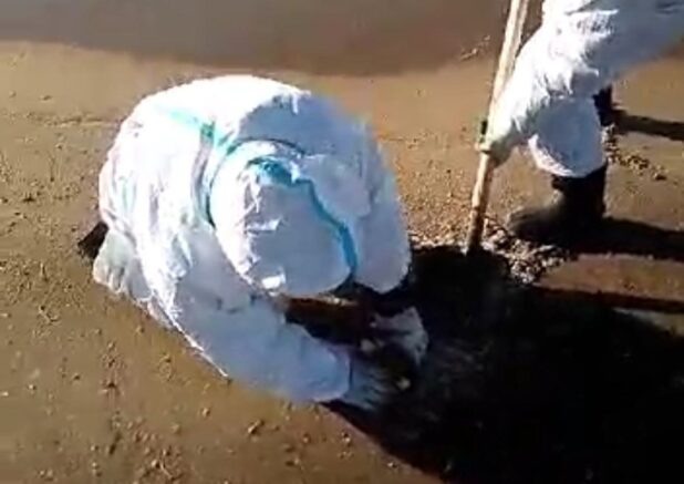    Кадр из видео / оперативный штаб Краснодарского края