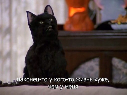Изображение из интернет-источника
