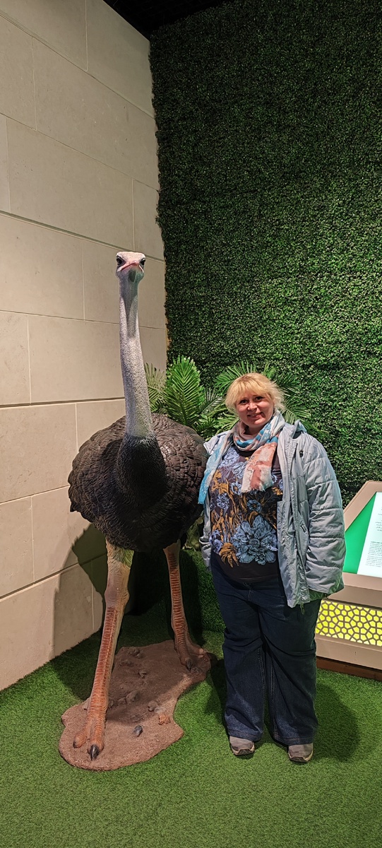 Фото от начала января 2025 года. 