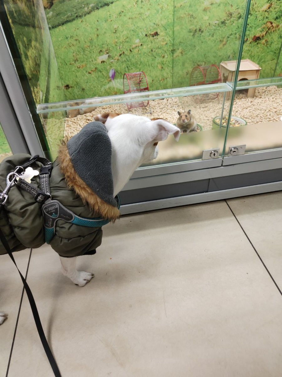 Подружиться или сожрать?))