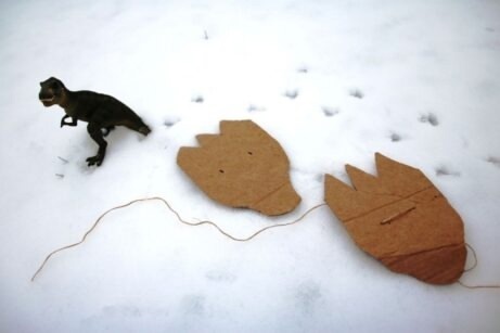 Фото из интернета