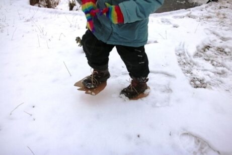 Фото из интернета