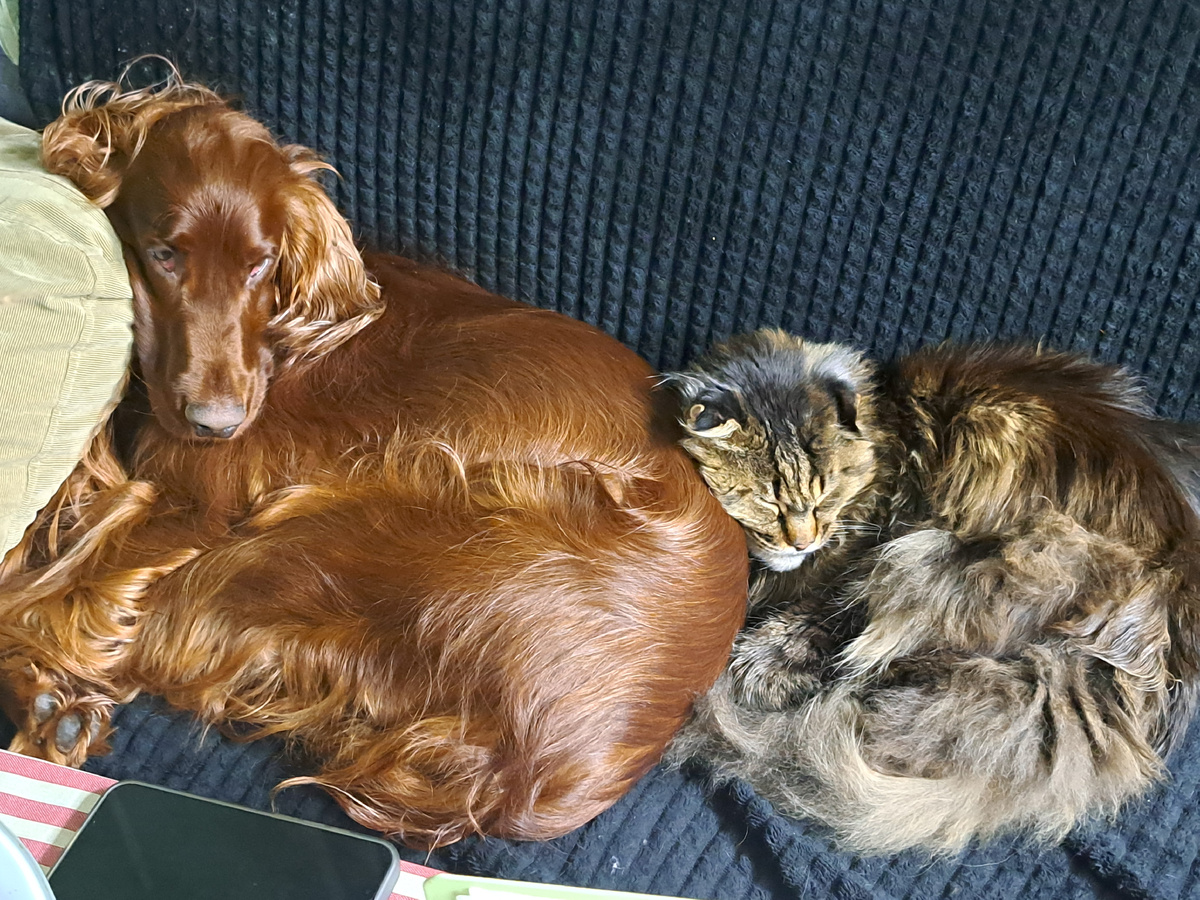 Ну или не всегда человека)