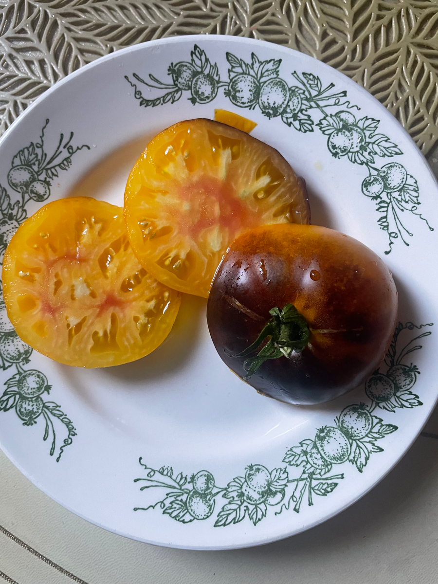 Яркий самоцвет (Lucid Gem)