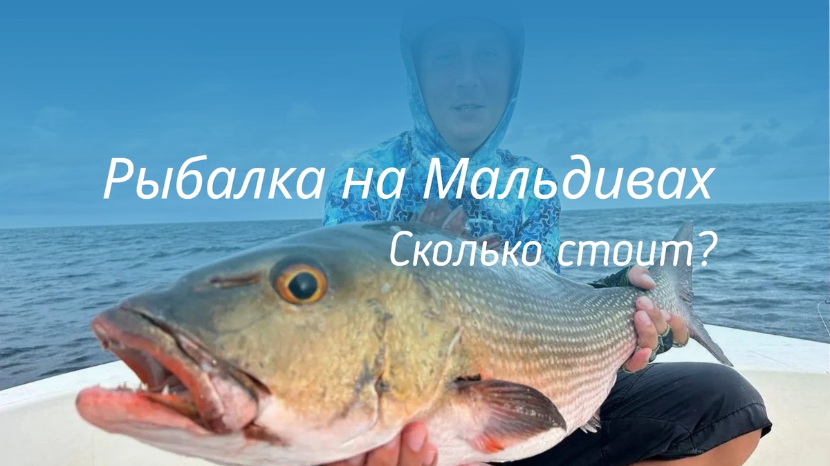 Сколько стоит рыбалка на Мальдивах?