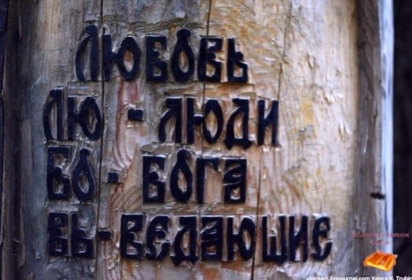 Научись видеть вокруг все живое и радоваться всему - траве, дереву, птицам, животным, земле, небу, всматривайся в них внимательным взглядом и с любовью в сердце - и откроются тебе такие знания, которых не найдешь в книгах...