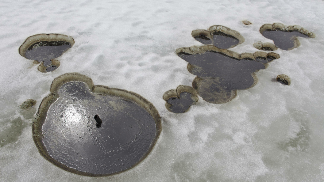    Nikolay Gyngazov/Globallookpress