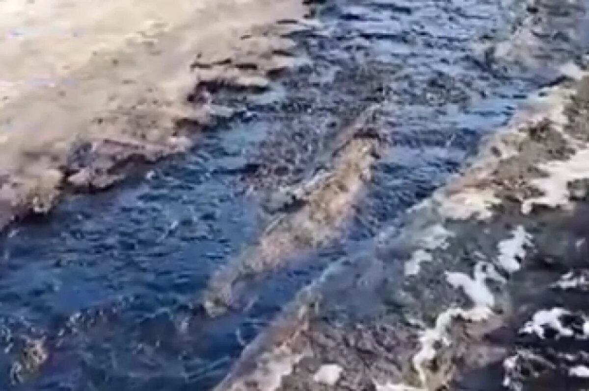    Появилось видео разлива нефти после ЧП на трубопроводе в Самарской области