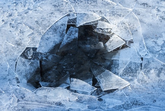    Shutterstock/FOTODOM