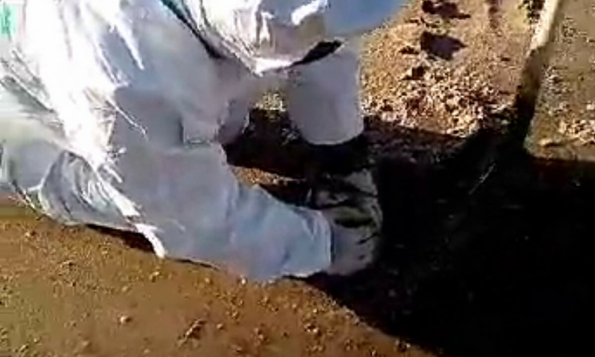    Фото t.me/opershtab23