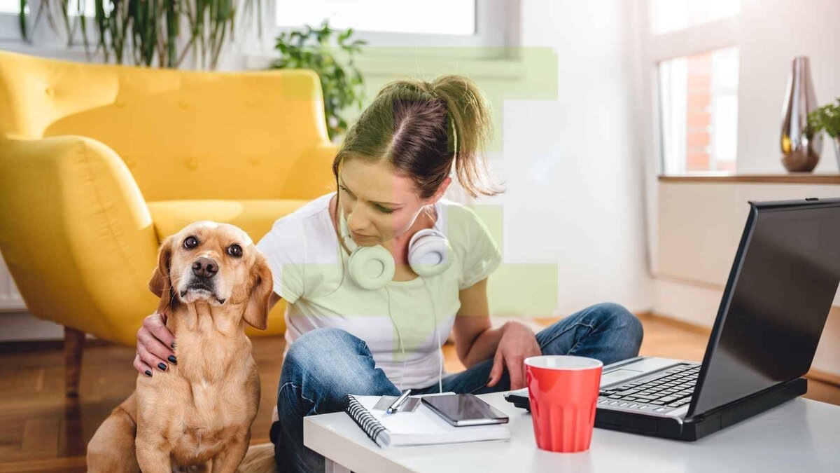 Взято из открытых источников.