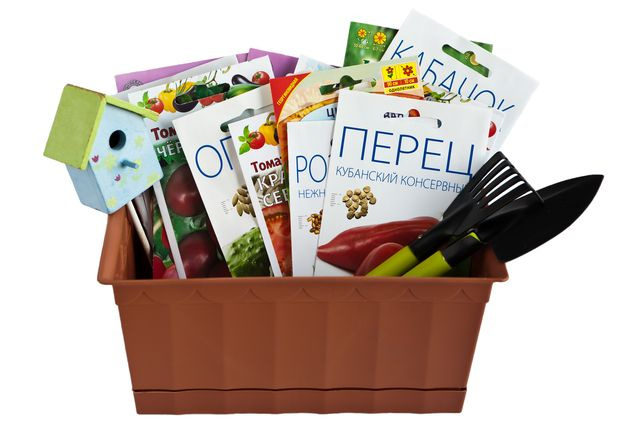 Ссылка на изображение: https://storage.myseldon.com/news-pict-94/9410DFAF5A210546C017B092D20795A3