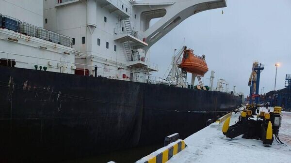    © Фото : Александр ДроZденко / Telegram